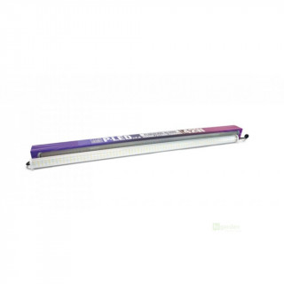 P-LED V2.0 - BLOOM - 42W - 2100K - Pure Factory