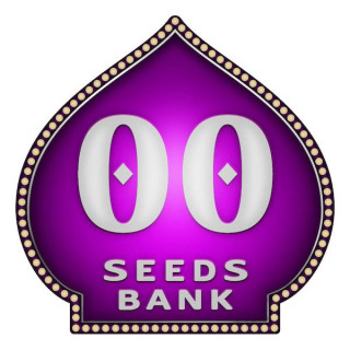 Automatik Mix - 00 Seeds Bank - Graines de cannabis de collection