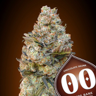 Chocolate Skunk Féminisée - 00 Seeds Bank - Graines de cannabis de collection