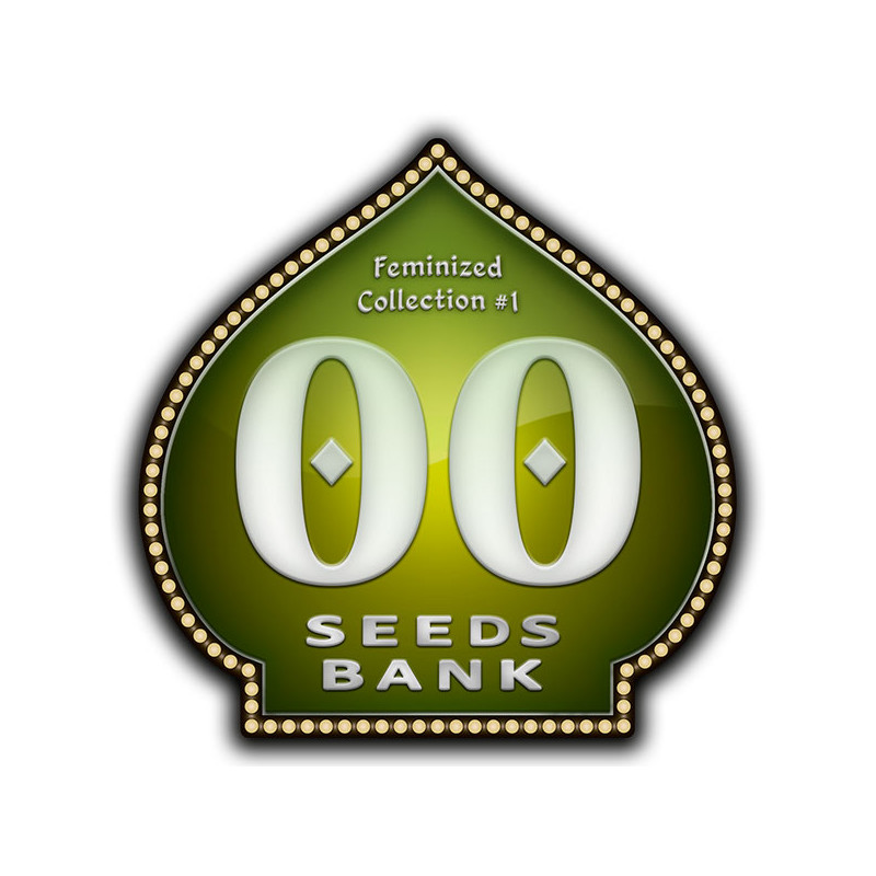 Female Collection No 1 - Féminisée - 00 Seeds Bank | ROOTS-SEEDS.FR
