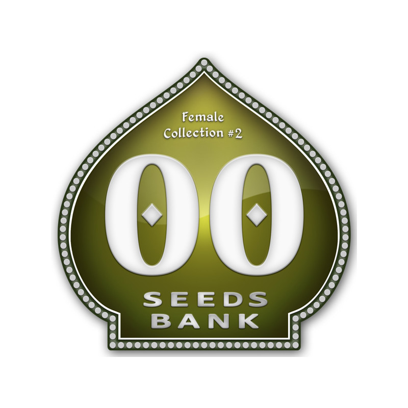 Female Collection No 2 - Féminisée - 00 Seeds Bank | ROOTS-SEEDS.FR