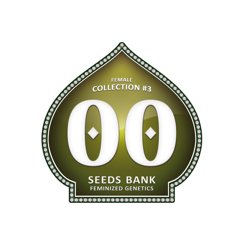 Female Collection No 3 - Féminisée - 00 Seeds Bank | ROOTS-SEEDS.FR