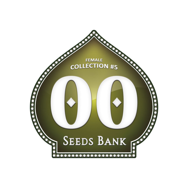 Female Collection No 5 - Féminisée - 00 Seeds Bank | ROOTS-SEEDS.FR