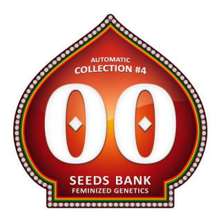 Collection No 4 - Autofloraison - 00 Seeds Bank | ROOTS-SEEDS.FR