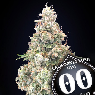 California Kush Fast - 00 Seeds Bank