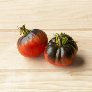 Tomate Indigo Mi-Saison "Blue Beauty"