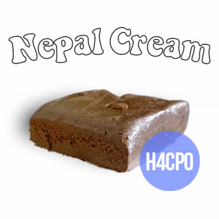 Nepal Cream - Resine H4CPO - Master Harvest