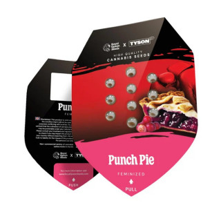 Punch Pie - Féminisée - Paquet - Royal Queen Seeds