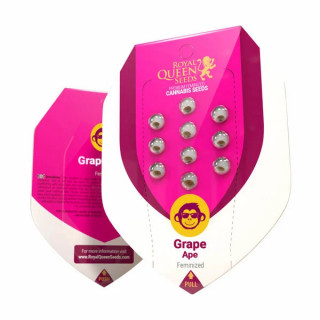Grape Ape - Féminisée - Paquet - Royal Queen Seeds