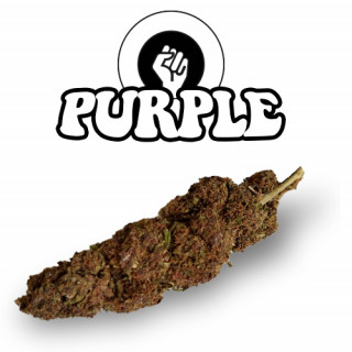 Purple - Fleurs de CBD - Happy Flowers