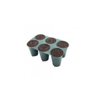 Plateau de Semis - 6 Cellules - PluginPro