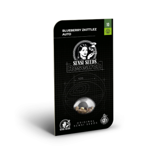 Blueberry Zkittlez - Autofloraison - Sensi Seeds