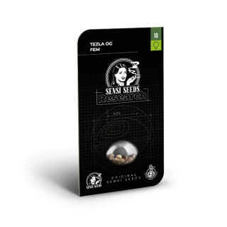 Tezla OG - Féminisée - Sensi Seeds Research