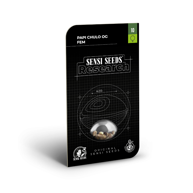 Papi Chulo OG - Féminisée - Sensi Seeds Research