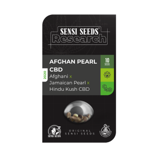 Afghan Pearl CBD - Autofloraison - Sensi Seeds Research