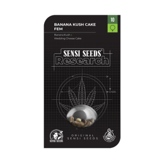 Banana Kush Cake - Féminisée - Sensi Seeds