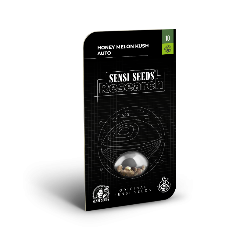 Honey Melon Kush - Autofloraison - Sensi Seeds Research