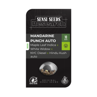 Mandarin Punch - Autofloraison - Sensi Seeds Research
