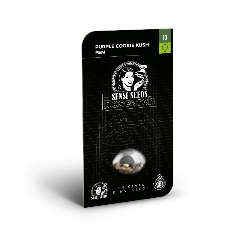 elfbar nachfüll pod läuft aus Kit Complet Cigarette Electronique