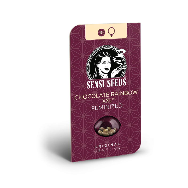 Chocolate Rainbow XXL - Féminisée - Sensi Seeds