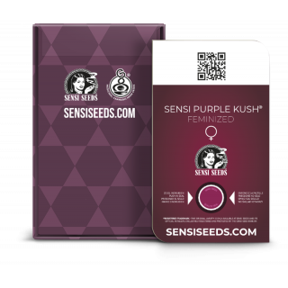 Sensi Purple Kush - Féminisée - Sensi Seeds
