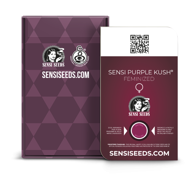 Sensi Purple Kush - Féminisée - Sensi Seeds