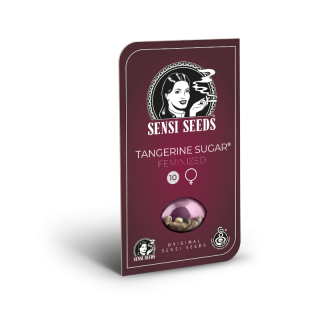 Tangerine Sugar - Féminisée - Sensi Seeds