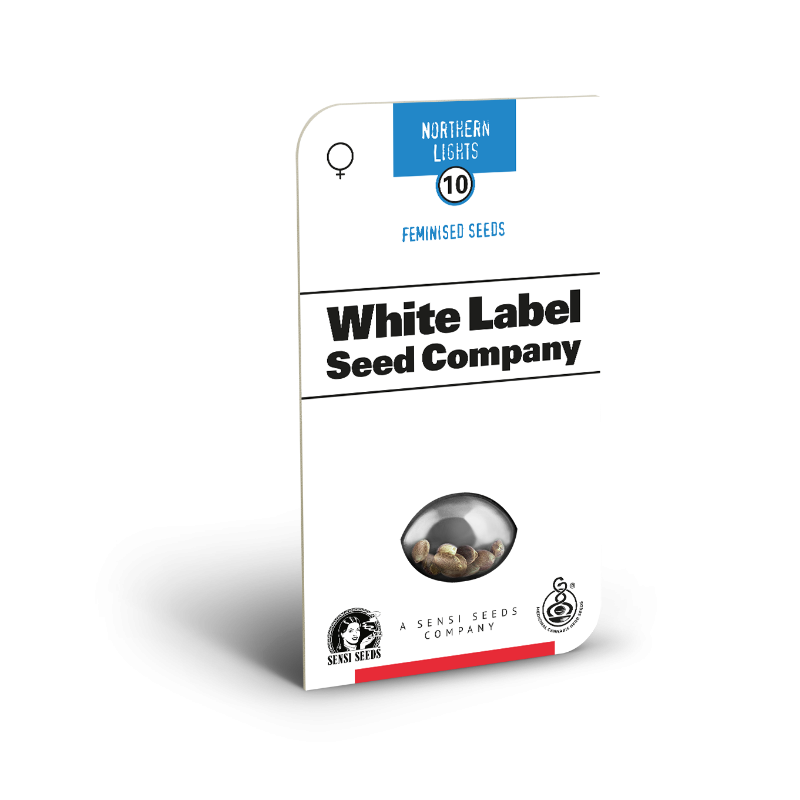 Northern Lights - Féminisée - White Label Sensi Seeds