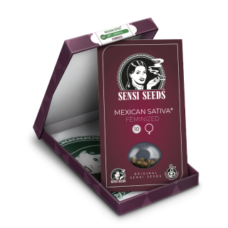 Mexican Sativa - Féminisée - Sensi Seeds