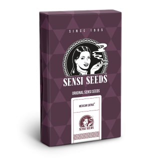 Mexican Sativa - Féminisée - Sensi Seeds