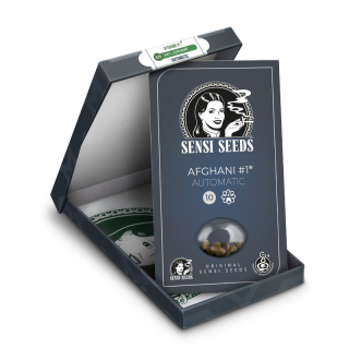 Afghani #1 - Autofloraison - Sensi Seeds | ROOTS-SEEDS.FR