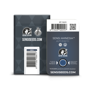 Sensi Amnesia - Autofloraison - Sensi Seeds | ROOTS-SEEDS.FR