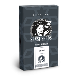 Super Skunk - Autofloraison - Sensi Seeds