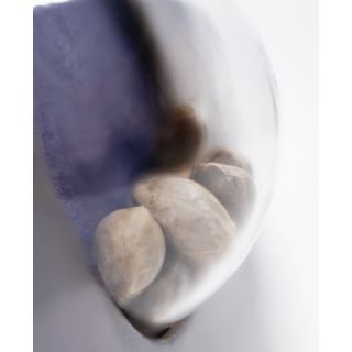 Northern Lights - Autofloraison - Sensi Seeds