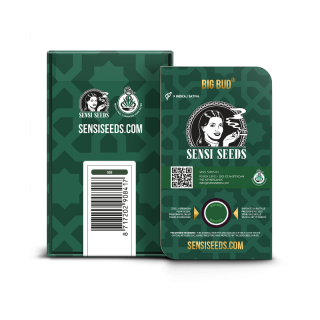 Big Bud - Régulière - Sensi Seeds | ROOTS-SEEDS.FR