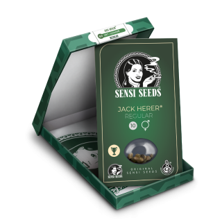 Jack Herer® - Régulière - Sensi Seeds