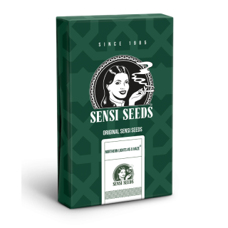 Northern Lights No 5 x Haze - Régulière - Sensi Seeds