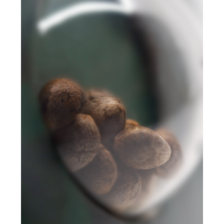 Northern Lights No 5 x Haze - Régulière - Sensi Seeds