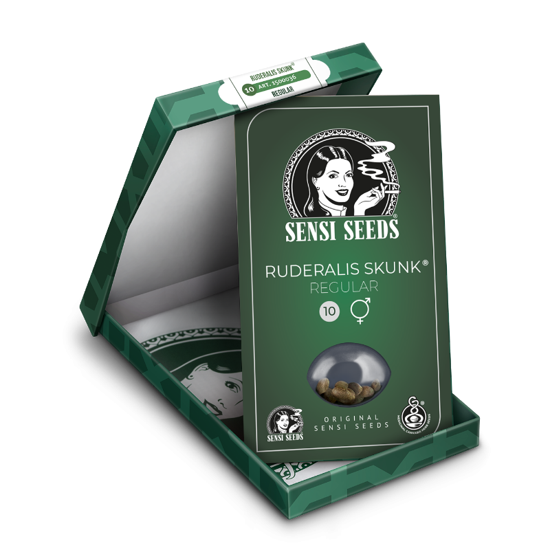 Ruderalis Skunk - Régulière - Sensi Seeds