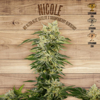 Nicole the plant organic seeds