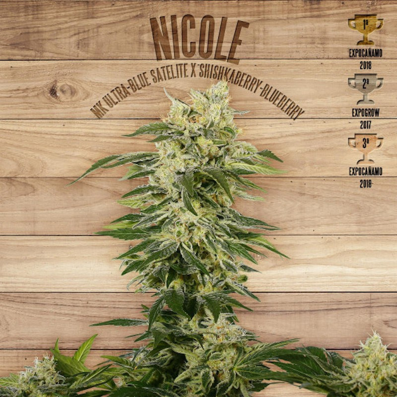 Nicole the plant organic seeds