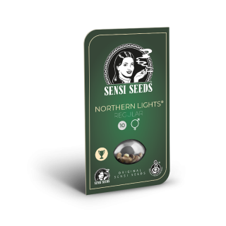 Northern Lights - Régulière - Sensi Seeds