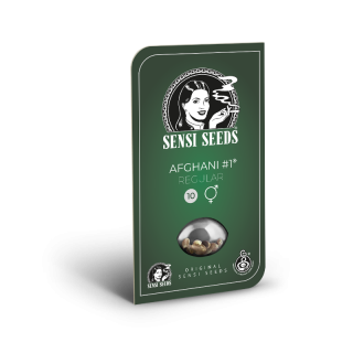 Afghani No 1 - Régulière - Sensi Seeds