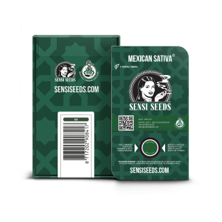 Mexican Sativa - Régulière - Sensi Seeds