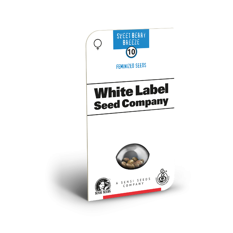 Sweet Berry Breeze - Féminisée - Sensi Seeds White Label