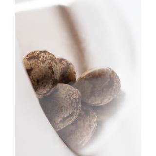 AK-420 - Féminisée - Sensi Seeds