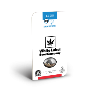 OG Kush - FEM - Sensi Seeds White Label