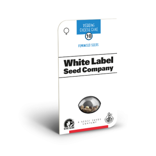 Wedding Cheesecake - Féminisée - White Label Sensi Seeds