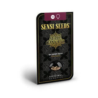 Big Berry Bliss - Féminisée - Sensi Seeds