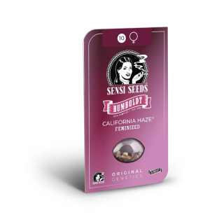 California Haze - Féminisée - Sensi Seeds